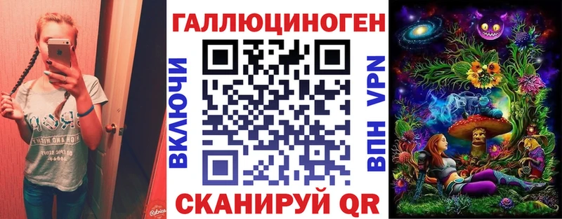 Купить где Данилов Галлюциногенные грибы Magic Shrooms